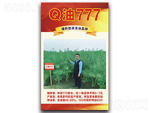 Q油777-油菜种子-德名种业